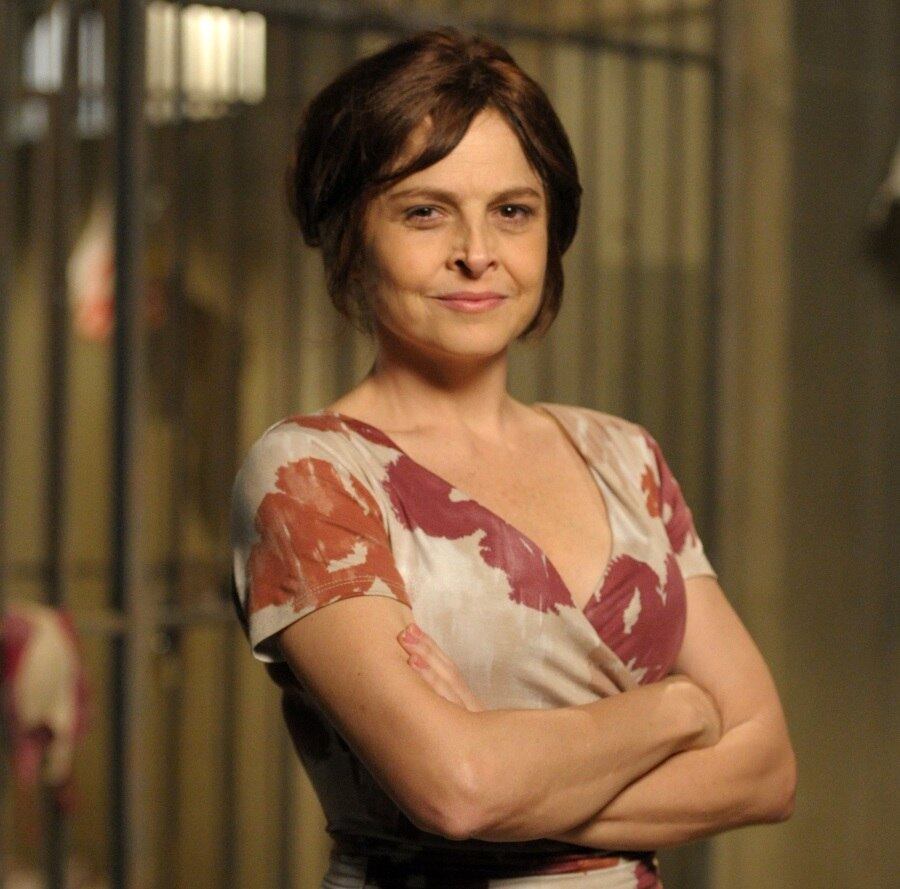 Drica Moraes descobriu a leucemia em 2010 e enfrentou a doença com perseverança. A atriz diz que sonhava em poder criar o filho Matheus e que isso lhe deu muita força. Ano passado, ela interpretava a vilã Cora, em Império, quando precisou se afastar da novela para cuidar mais da saúde. A carga de trabalho estava muito puxada, mas ela recebeu o apoio de todo o elenco