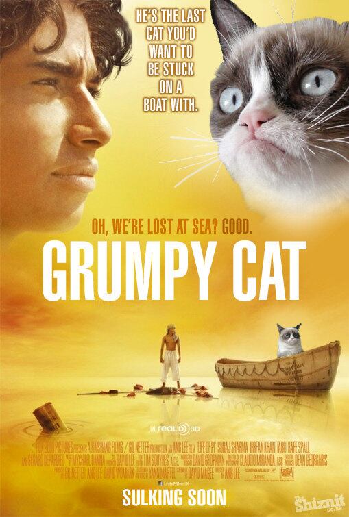 Alguns memes são tão famosos na rede que até merecem uma ponta nos filmes de Hollywood. O site TheShiznit resolveu transformar a brincadeira em cartazes divertidos. Esta é a versão do site para As aventuras de Pi, que virou o Grumpy cat — meme do gato mal-humorado. No poster ele diz: "ah, você se perdeu no mar? Bom!"