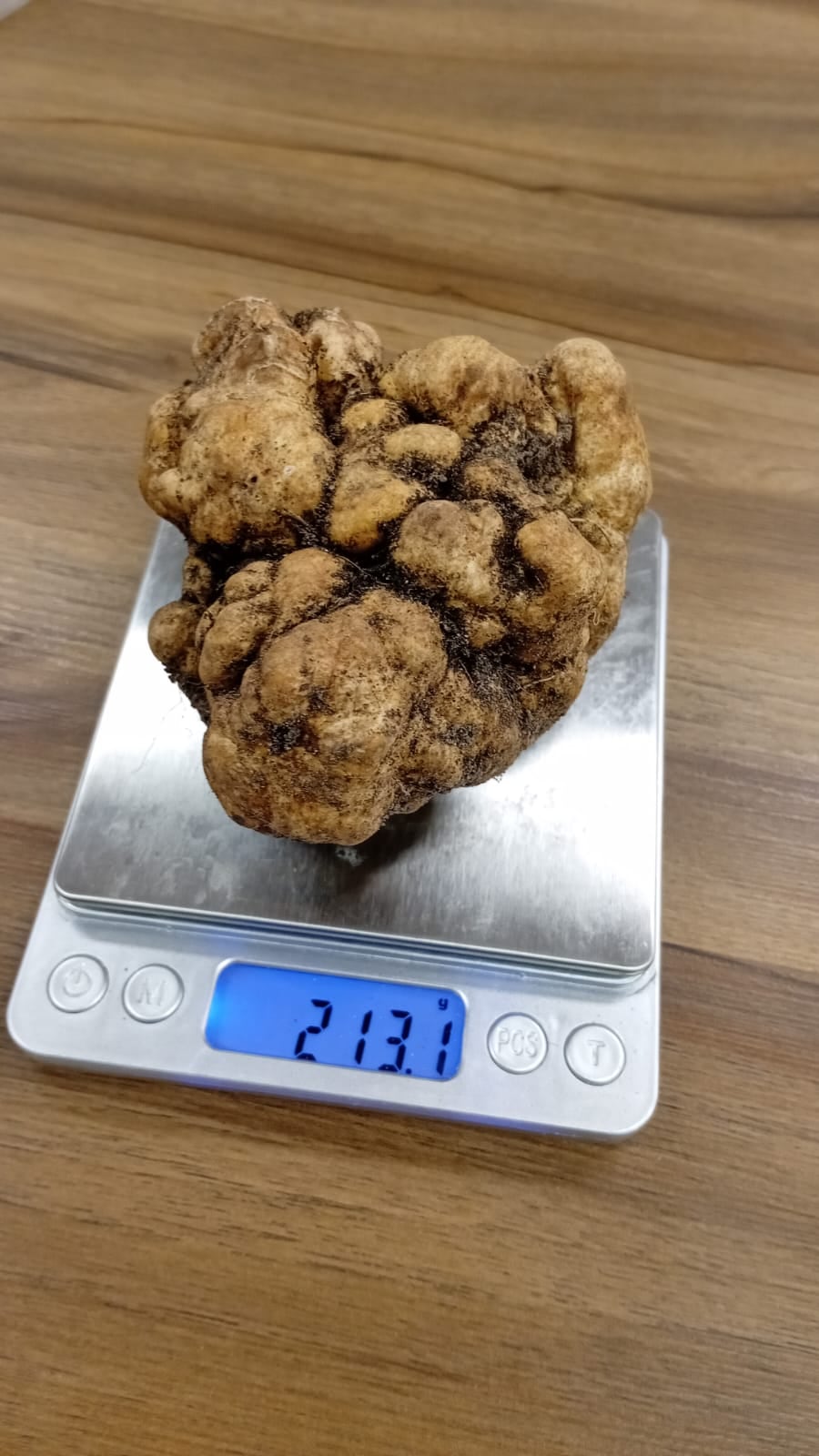 Mais de 200g de puro glamour