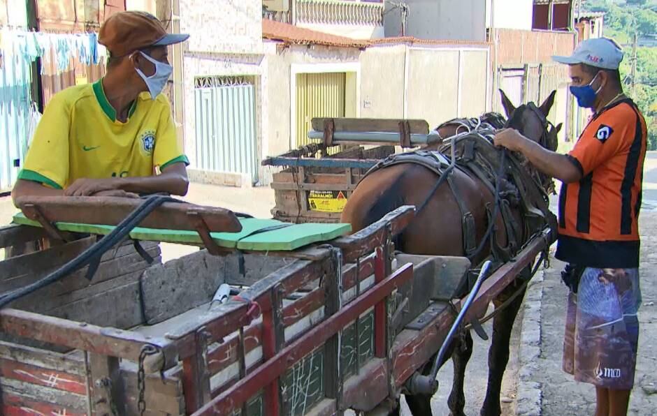 Carroceiros temem perder a única fonte de renda