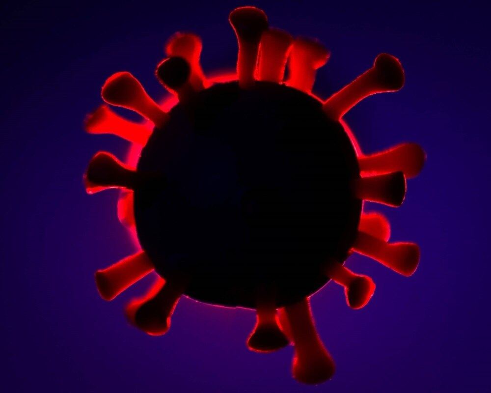 Plataforma une doadores e entidades de saúde