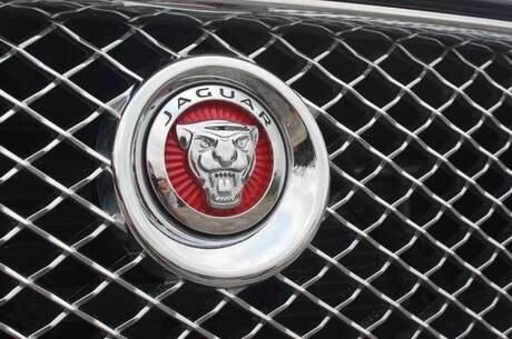 Detalhe do emblema da Jaguar na grade dianteira trançada