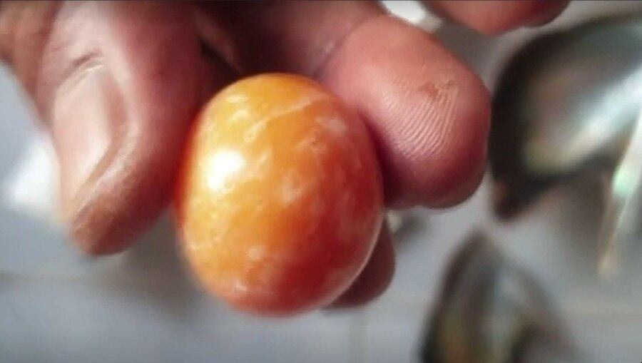 Pérola laranja foi encontrada por acaso por pescadores

