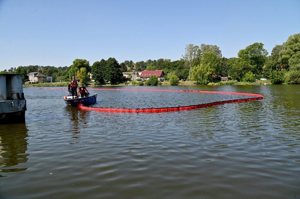 Surpreendidos pela chegada em massa dos animais mortos, as autoridades alemãs repreenderam as da Polônia por não terem avisado