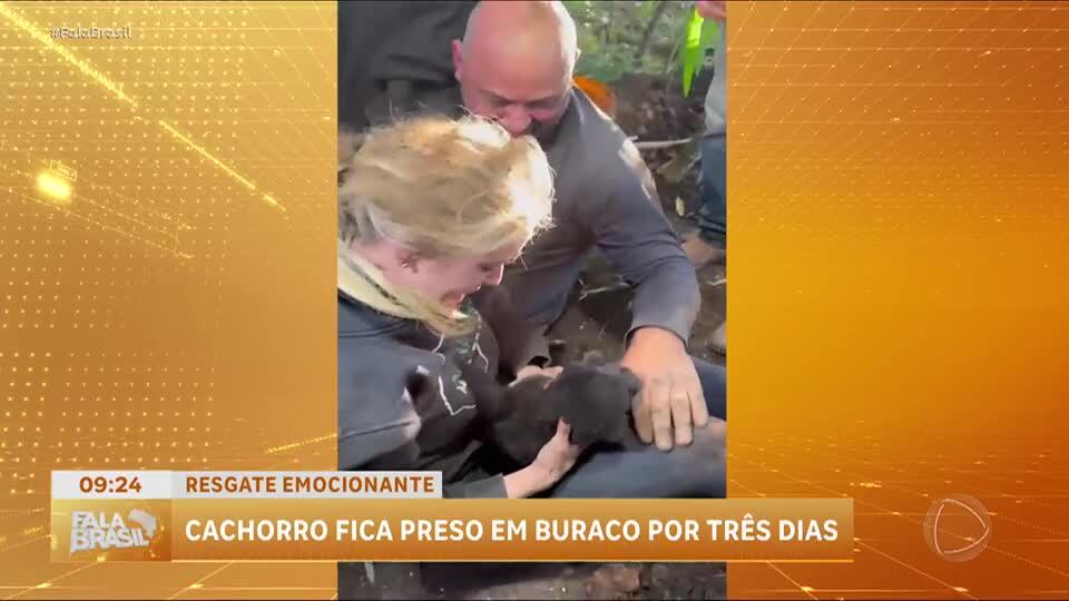 Resgate emocionante: filhote de cachorro é resgatado após 72 horas preso em Curitiba (PR)