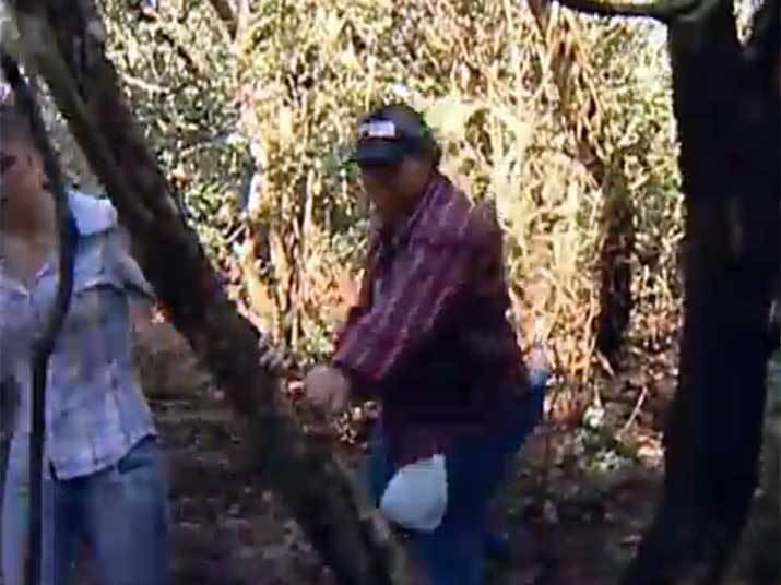 Mesmo com a confirmação do assassino e com o reconhecimento do corpo e dos objetos da vítima por parte da família, a polícia espera o laudo da necrópsia para confirmar se o corpo realmente é de Tatiane. Assista ao vídeo!