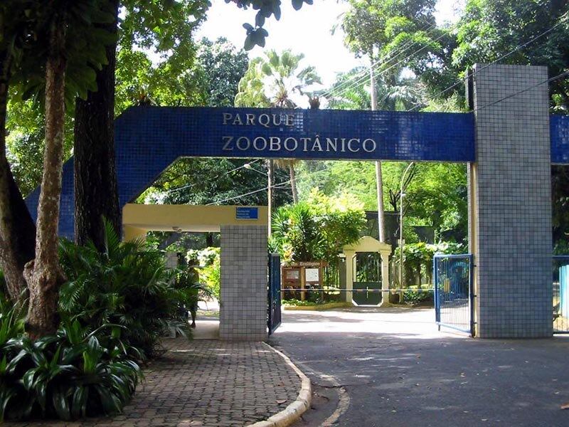 Visitantes não devem alimentar os animais