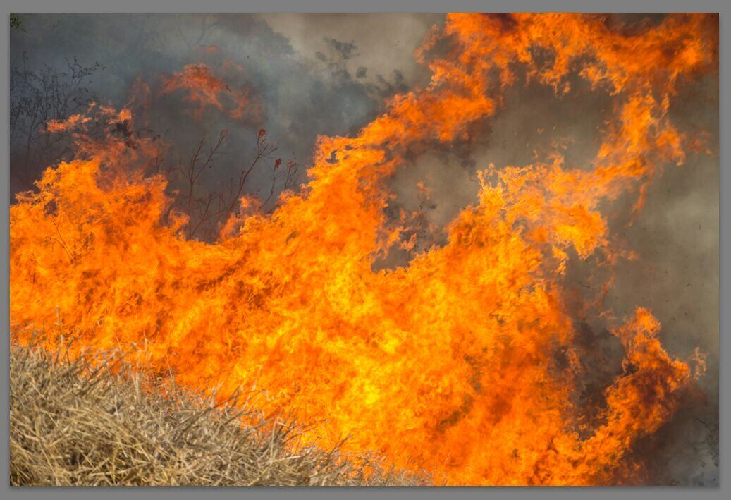Danos ambientais são incalculáveis.Cerca de 30% do abastecimento de água de Montes Claros vêm dos rios localizado no parque