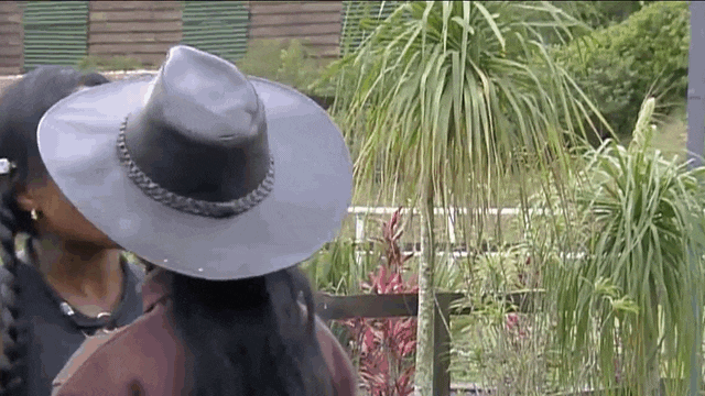 Reprodução em GIF/A Fazenda 17: reveja a briga em que Carol Lekker cuspiu em Rayane Figliuzzi (01:27)