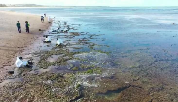 Manchas de óleo voltam a aparecer no litoral norte da Bahia
