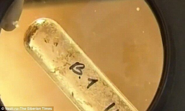 Porém, o teste em animais não foi suficiente para Brouchkov, que decidiu testar nele mesmo. O resultado: ele não pega gripe há dois anos