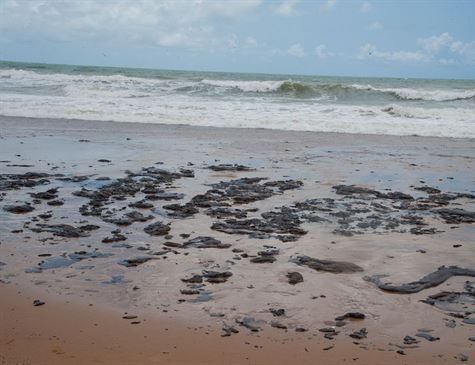 Os cientistas apontaram três áreas entre 350 km e 600 km da costa de Sergipe, Pernambuco e Alagoas que têm maior probabilidade de abrigar a origem do derramamento de óleo