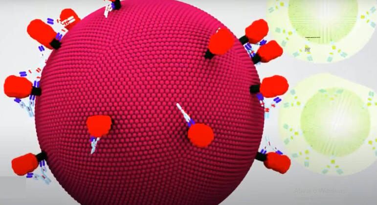 Anticorpo se liga à célula do vírus, cientistas irradiam luz específica e vírus é eliminado