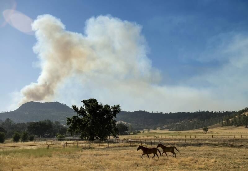 Incêndio em Snell Valley,
na Califórnia, começou na terça-feira (1º) e já destruiu mais de 1740 hectares