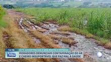 Moradores do interior de São Paulo denunciam empresa por contaminação do solo e do ar