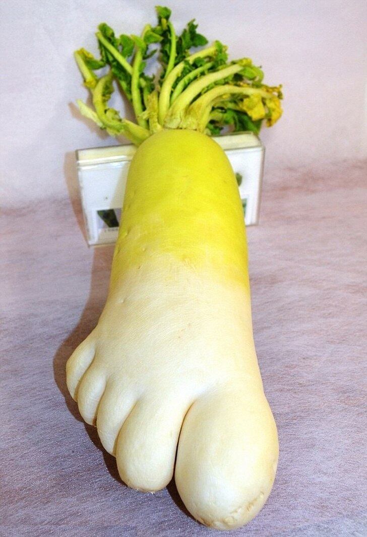 Talvez Victor Frankenstein conseguisse resultados mais pacíficos com vegetais, não?