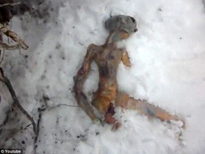 O suposto alienígena teria sido achado por militares russos. O corpo estava congelado, informou o jornal
