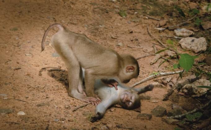 É briga! Alguém precisou levar uma grande bronca