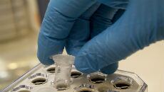 Audiência foi convocada para discutir a epidemia global de zika