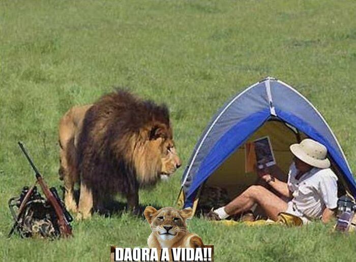 Ele adorava acampar. Adorava!