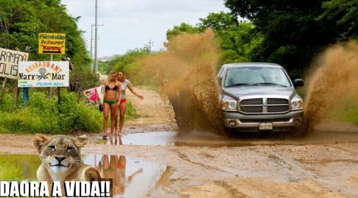 Pelo menos elas estavam indo pra casa!
