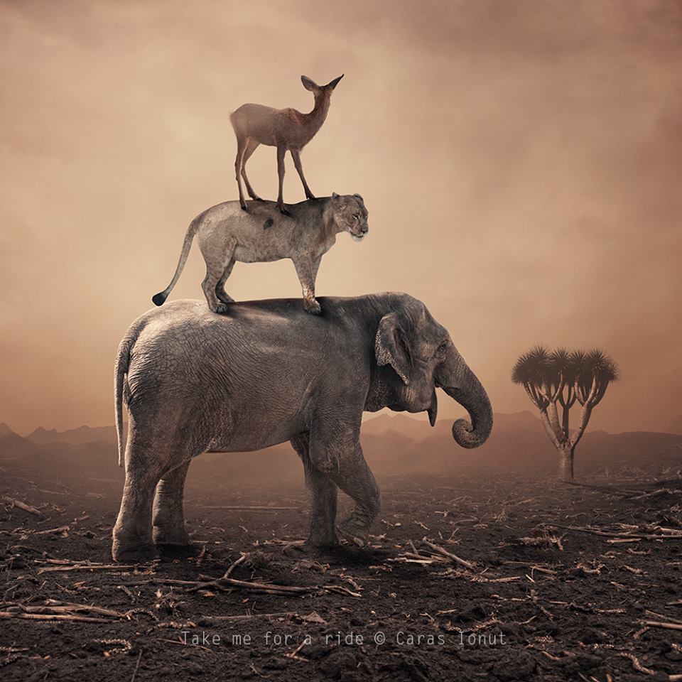 Caras Ionut. photoshop, sobrepor imagem, fotografia, artistas