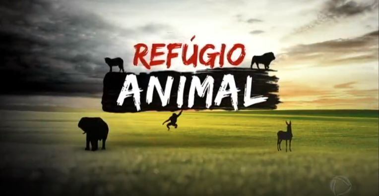 Série de reportagens mostra os desafios de proteger animais selvagens