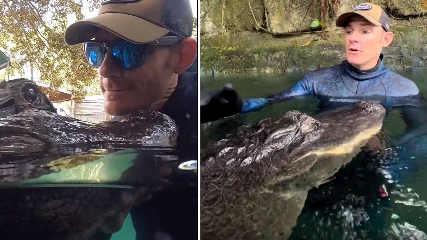 Tratador deixou claro que animal o comeria se achasse que a oportunidade chegou