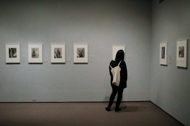 Ainda não se sabe por que as telas estavam sem vigilância