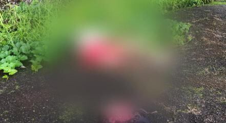 Vítima foi encontrada no meio da rua