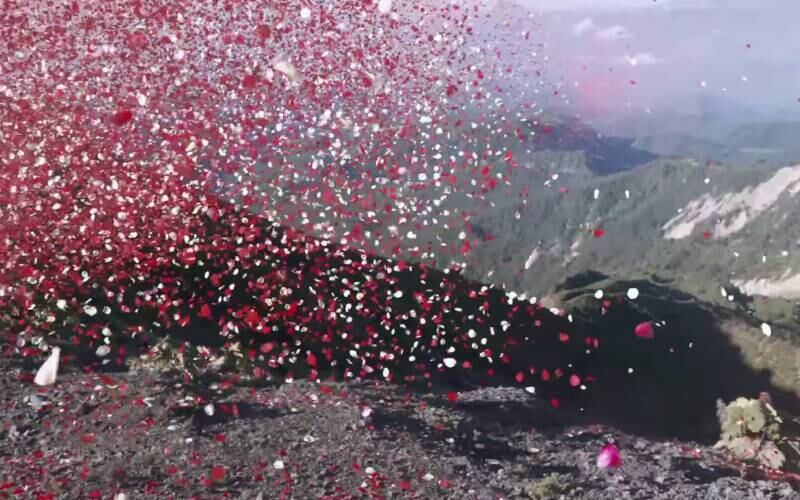 Pode até parecer cena de sonho, mas em 2013 uma cidade da Costa Rica, na América Central, foi coberta por 8 milhões de pétalas de flores