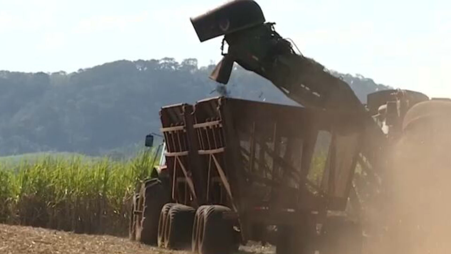 Entenda o mercado e as perspectivas para o setor sucroenergético na safra 2025/2026