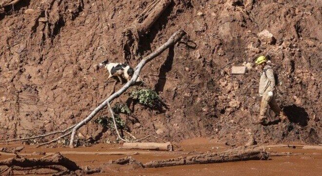 Bombeiros continuam as buscas na área atingida pela lama