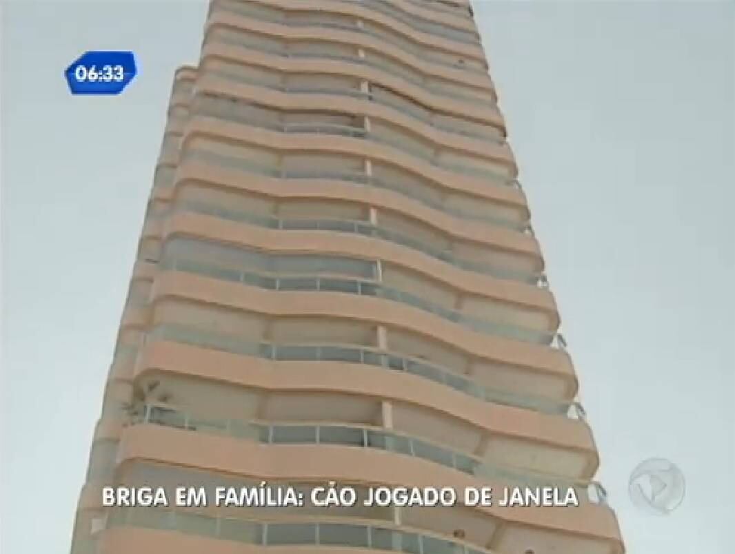 Cachorro foi atirado pela janela e morreu na hora