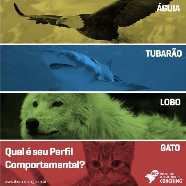 Teste é composto por 25 perguntas