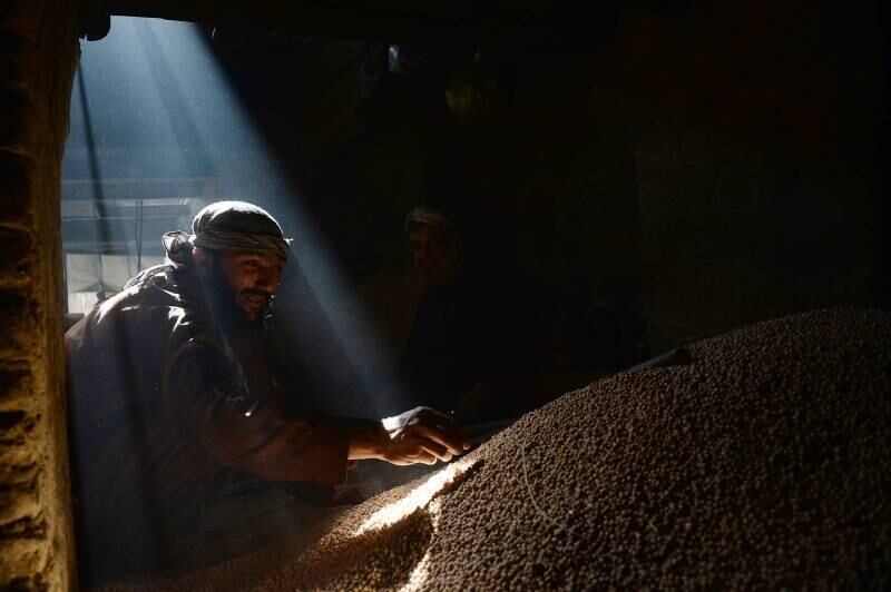 Afegão trabalha em
produção de ervilha às vésperas do Ramadã, o mês sagrado para os islâmicos, em
Cabul, no Afeganistão. Durante o Ramadã, que começa no próximo dia 28 no país,
muçulmanos de todo o mundo jejuam do nascer até o por do sol