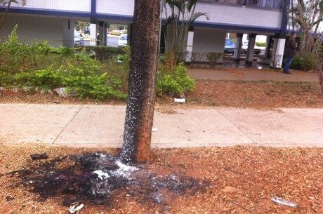 Em agosto de 2013, moradores da quadra 415 da Asa Sul, região central de Brasília, encontram um corpo carbonizado. Segundo a polícia, o crime foi registrado como homicídio motivado por uma dívida que a autora, Ellen Samara Moraes de Lucena, de 33 anos, tinha com a vítima, uma garota de programa. Leia matéria completa 
