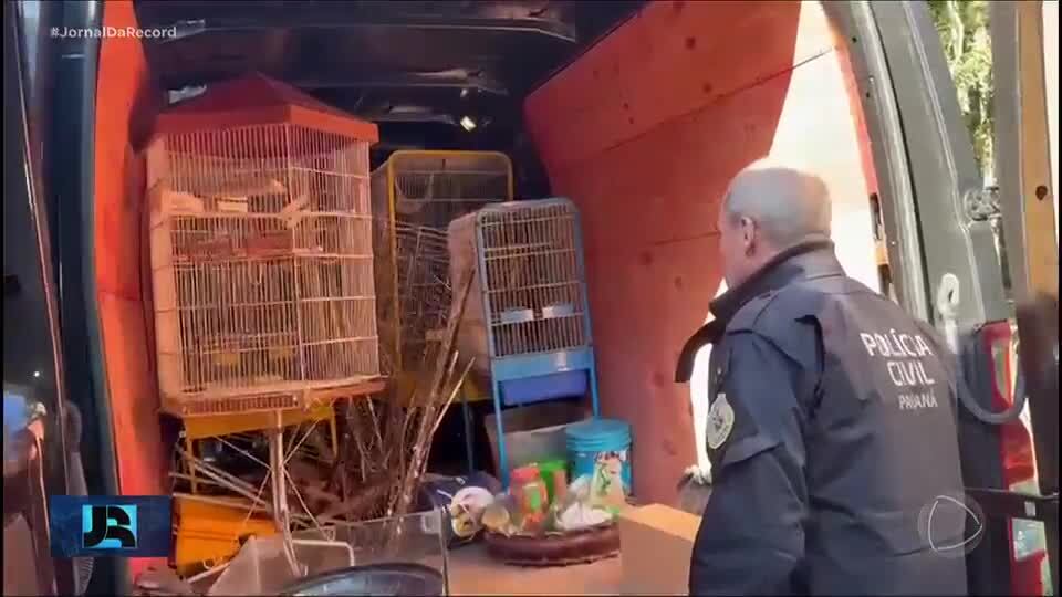 Minuto JR: Polícia prende 16 suspeitos de tráfico internacional de animais silvestres