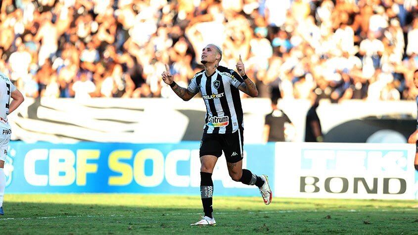 Navarro foi o artilheiro do Alvinegro na temporada e o grande destaque do time na Série B, balançando as redes 15 vezes na competição. O outro gol foi marcado no Campeonato Carioca