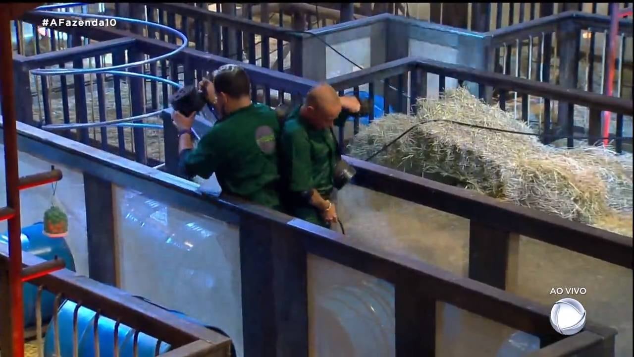a fazenda 10