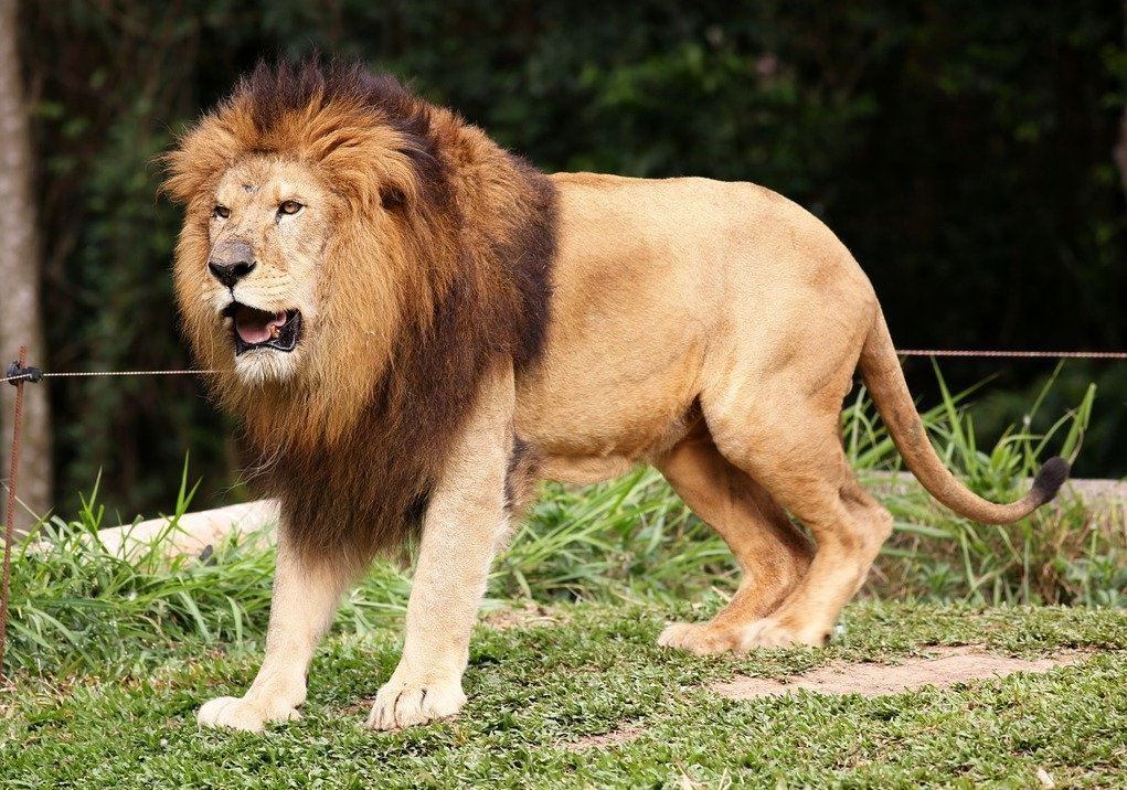 Defasagem leva em conta período entre 1996 e 2019