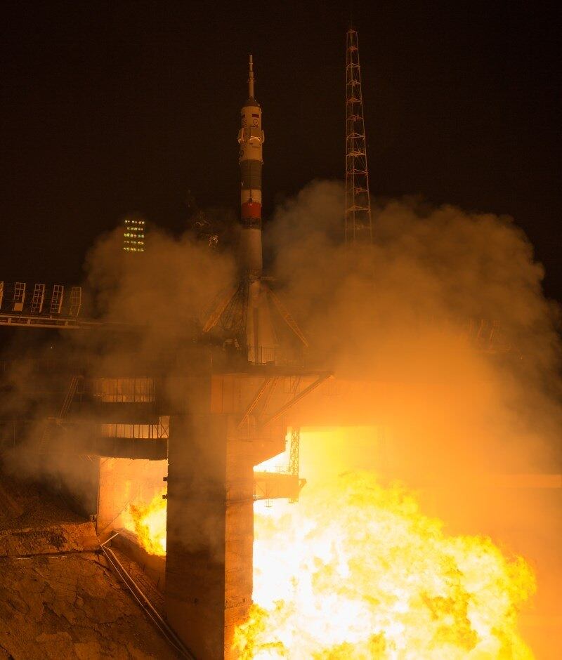 Ok, o ano de 2016 não teve apenas notícias ruins, não é mesmo?
