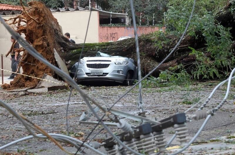 A companhia não informou quantos clientes foram atingidos pelos problemas, mas declarou que "equipes da concessionária estão realizando uma força-tarefa para restabelecer a energia elétrica e reconstruir a rede elétrica, bastante danificada por estas árvores"