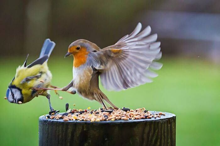 — ISSO É ESPARTA!