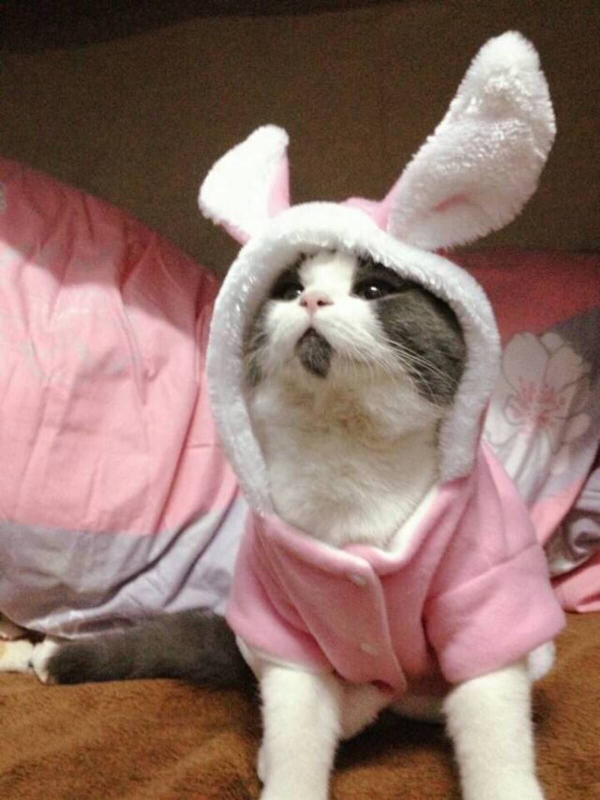 Em qualquer situação, Banye parece estar surpreso. Tudo por conta da pelugem escura embaixo de sua boca