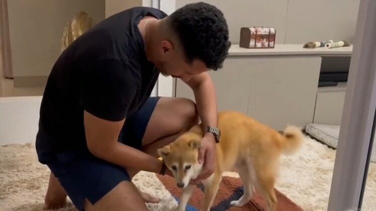 A família Neres abriu as portas de casa para compartilhar a experiência de cuidar de um bicho de estimação idoso, com uma condição de saúde tão delicada. Eles montaram um cercadinho, com tapetes para o animal não escorregar e ele tem acesso a um gramado onde faz suas necessidades. Além disso, ele tem uma rotina regrada de medicamentos