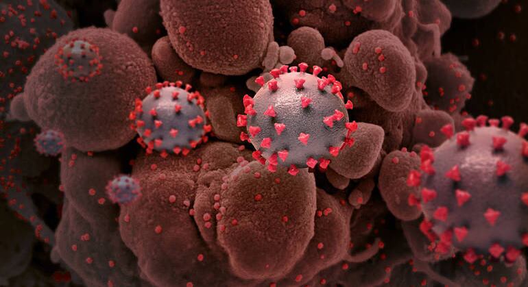 Houve modificações nas proteínas da superfície do vírus na África do Sul