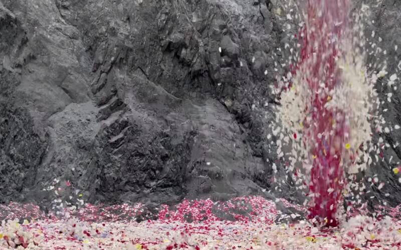 Em vez de larva, o conteúdo expelido pelo vulcão foram milhões de pétalas