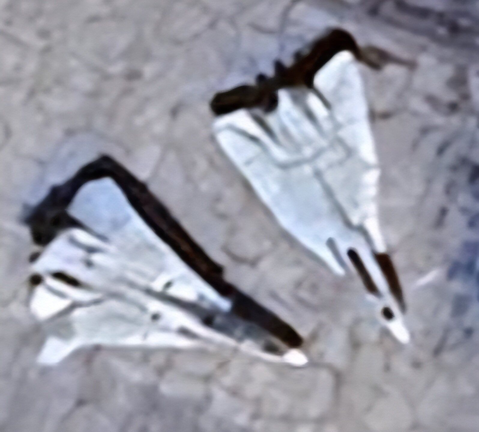 Frota iraniana conta atualmente com cerca de 40 a 42 Tomcats