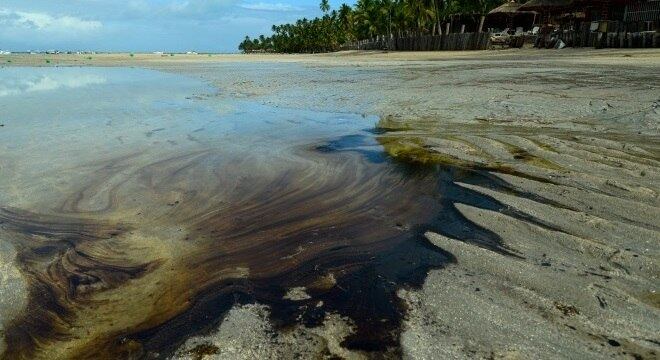 Empresários atingidos pelo desastre natural com óleo ganharão crédito
